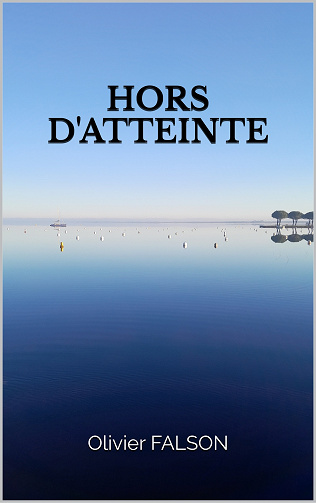 Hors d'atteinte - Olivier Falson (2024)