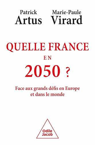 Quelle France en 2050 ?: Face aux grands défis en Europe et dans le monde - Patrick Artus (2024)