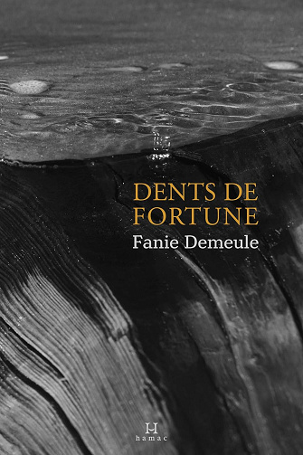 Dents de fortune -  Fanie Demeule (2024)