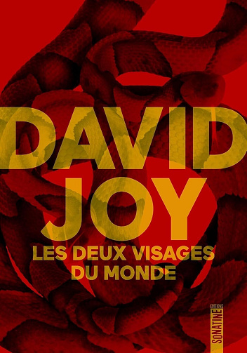 David Joy - Les Deux Visages du monde (2024)