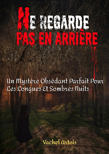 Vachel Artois - Ne regarde pas en arrière: un mystère obsédant parfait pour les longues et sombres nuits (2024)