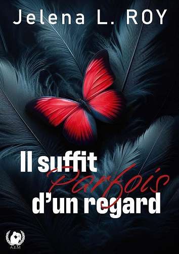Il suffit parfois d'un regard -  Jelena L Roy (2024)