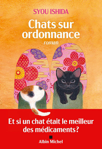 Syou Ishida - Chats sur ordonnance (2024)