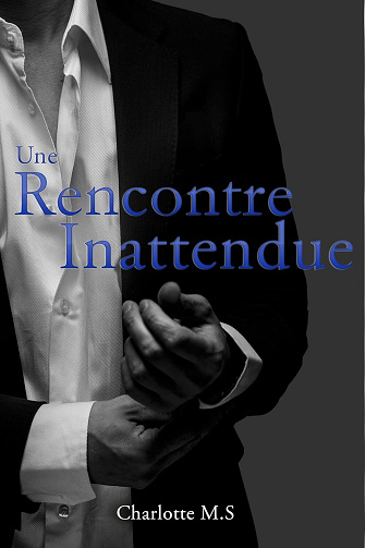 Une rencontre inattendue - Charlotte M.S (2024)