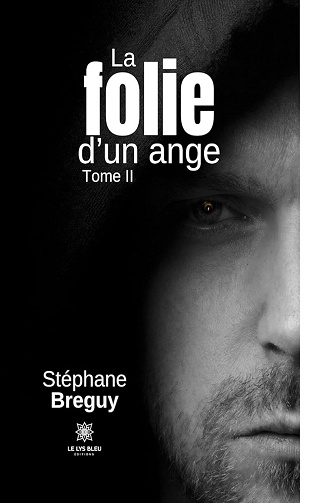 Stéphane Breguy - La folie d’un ange - Tome 2 (2024)