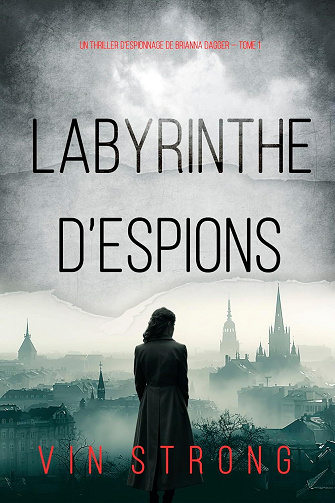 Brianna Dagger, Tome 1 : Labyrinthe d’espions - Vin Strong (2024)