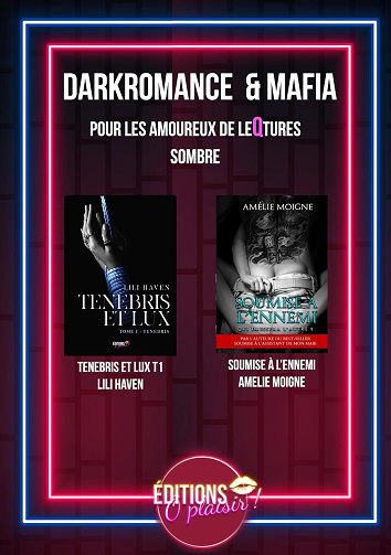 Lili Haven, Amélie Moigne - Dark romance et mafia: Pour les amoureux de leqture sombre (2024)