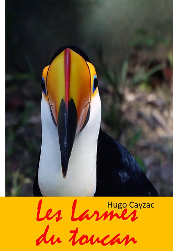 Hugo Cayzac - Les Larmes du toucan (2024)