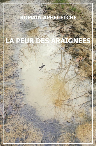 Romain Aphecetche - La Peur des Araignées (2024)