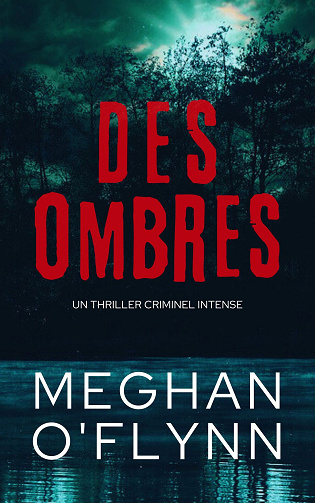 Des Ombres - Meghan O'Flynn (2024)