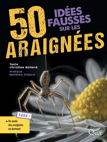 50 idées fausses sur les araignées - Christine Rollard (2023)