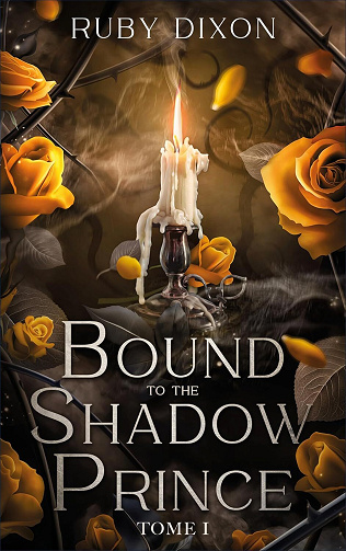 Bound to the shadow prince, Tome 1 - Ruby Dixon (2024)