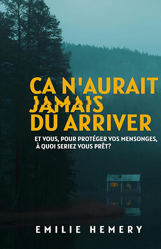 Ca n'aurait jamais dû arriver - Emilie Hemery (2024)