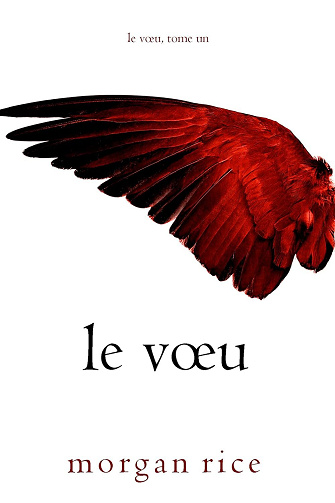 Souhait, Tome 1 : Le Vœu - Morgan Rice (2023)