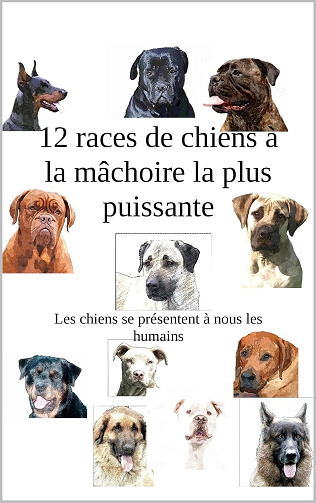 Patrick Dufour - 12 races de chiens à la forte mâchoire (2025)