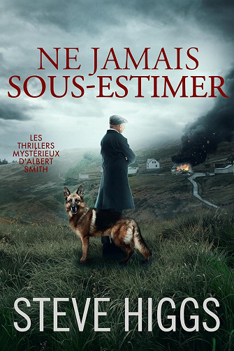 Steve Higgs - Ne jamais sous-estimer: Les thrillers mystérieux d'Albert Smith Tome 3 (2025)