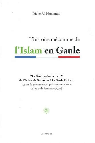 L'histoire méconnue de l'Islam en Gaule - Didier Ali Hamoneau (2019)