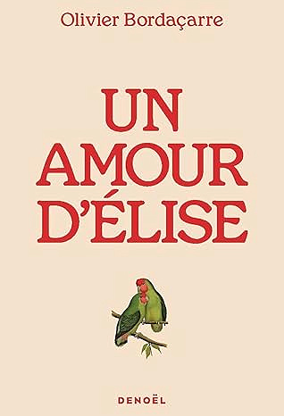 Un amour d'Élise - Olivier Bordaçarre (2025)