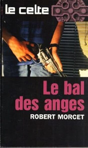 Série "Le Celte" - Pack 28 livres - Robert Morcet