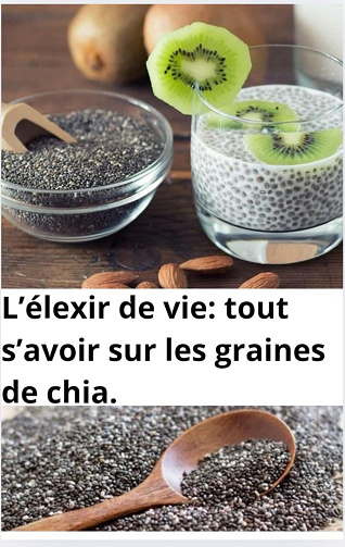 Christelle Faure - L'élixir de vie: tout s'avoir sur les graines de chia. (2025)