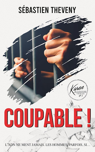 Coupable ! - Sébastien Theveny (2025)