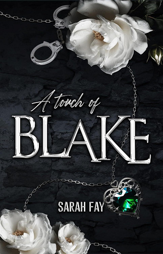A Touch of Blake - Sarah Fay (2025)