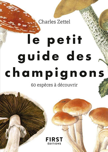 Charles Zettel - Le petit guide des champignons: 60 espèces à découvrir