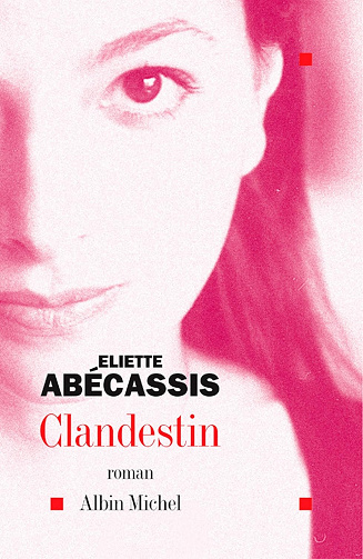 Clandestin -  Eliette Abécassis