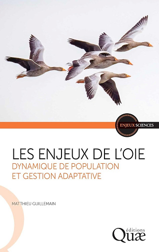 Les enjeux de l’oie : Dynamique de population et gestion adaptative - Matthieu Guillemain (2025)