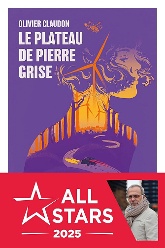 Le plateau de pierre grise - Olivier Claudon (2024)