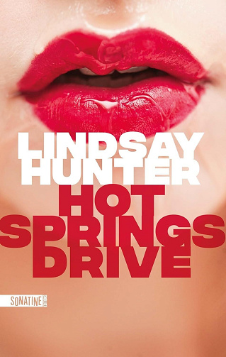 Hot Springs Drive - Lindsay Hunter (2025)