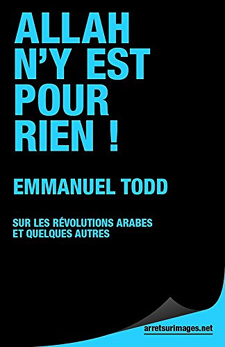 Allah n'y est pour rien !: Sur les révolutions arabes et quelques autres -  Emmanuel Todd (2011)