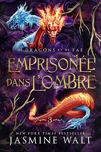 Emprisonée dans l’Ombre (De Dragons et Fae t. 3) - Jasmine Walt (2025)