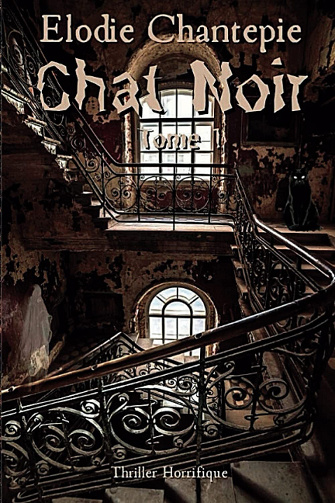 Chat noir - Élodie Chantepie (2020)
