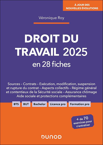 Droit du travail 2025 en 28 fiches - Véronique Roy (2025)