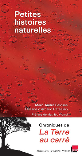 Marc-André Selosse - Petites histoires naturelles: Chroniques du vivant