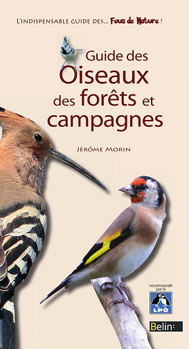 Jérôme Morin - Guide des oiseaux des forêts et campagnes