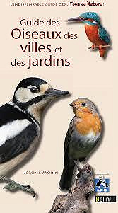 Jérôme Morin - Guide des oiseaux des villes et des jardins