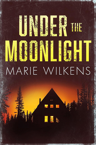 Under the Moonlight (Thriller psychologique sur un enlèvement d’enfant et les sombres secrets d’une petite ville t. 36) -  Marie Wilkens (2025)