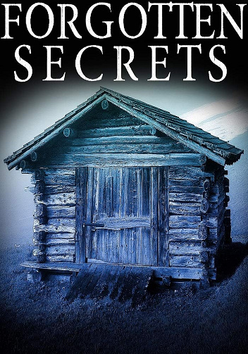 Forgotten Secrets (Thriller psychologique sur un enlèvement d’enfant et les sombres secrets d’une petite ville t. 22) -  Alexandria Clarke (2025)