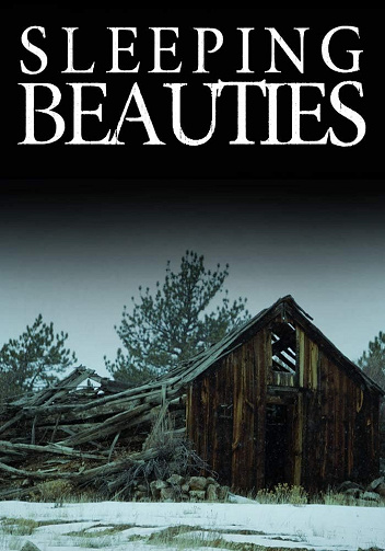 Sleeping Beauties (Thriller psychologique sur un enlèvement d’enfant et les sombres secrets d’une petite ville t. 19) -  Skylar Finn (2025)