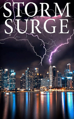 Storm Surge (Une saga dystopique et post-apocalyptique sur la survie après un EMP t. 12) -  J.S Donovan (2025)