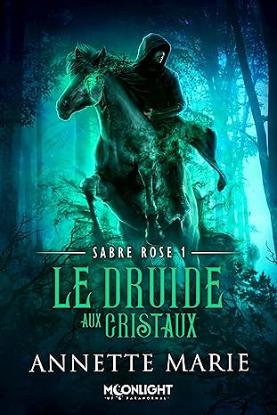 Le Druide aux cristaux: Sabre Rose, T1 - Annette Marie (2025)