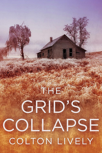 The Grid's Collapse (Une saga dystopique et post-apocalyptique sur la survie après un EMP t. 50) - Colton Lively (2025)