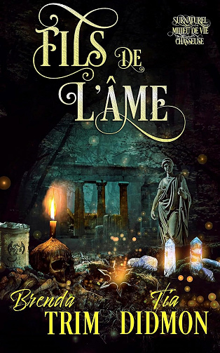 Nation Voilée - Tome 17 : Fils de L'âme - Tia Didmon, Brenda Trim (2025)