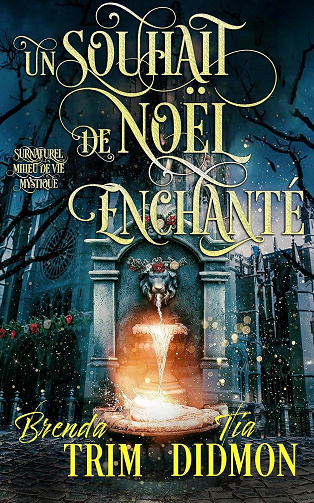 Nation Voilée - Tome 13 : Un Souhait de Noël Enchanté - Tia Didmon, Brenda Trim (2025)