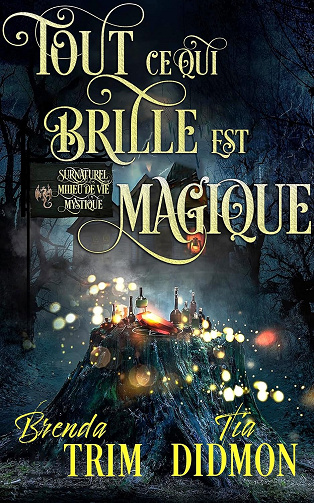 Nation Voilée - Tome 10 : Tout ce qui Brille est Magique - Tia Didmon, Brenda Trim (2025)