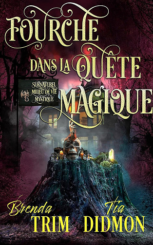 Nation Voilée - Tome 8 : Fourche dans la Quête Magique - Tia Didmon, Brenda Trim (2025)