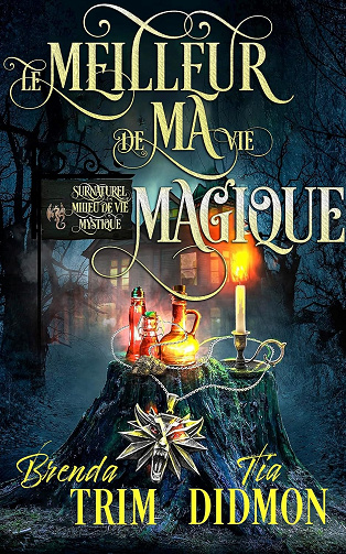 Nation Voilée - Tome 1 : Le Meilleur de ma Vie Magique - Tia Didmon, Brenda Trim (2025)