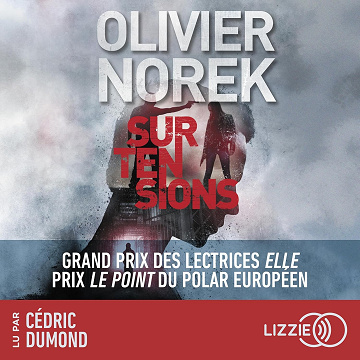 Surtensions - Olivier Norek (2024)